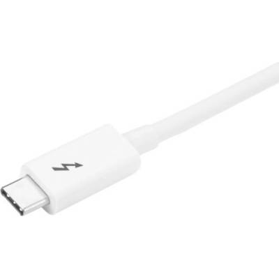 StarTech TBLT3MM2MW