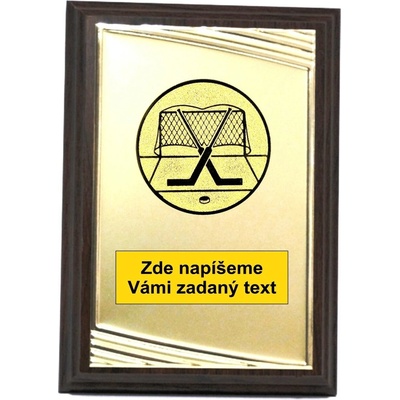 VIZINGR Hokej brankář plaketa H122-G231.01-142 H122-G231.01-142/15 cm