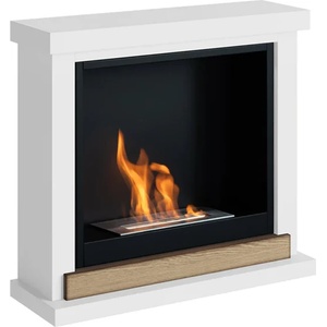 TAGU Hagen FreeFlame white Камини
