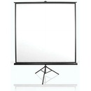 Elite Screens T120UWV1