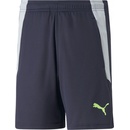 Puma teamLIGA Training shorts 2 jr 65766844