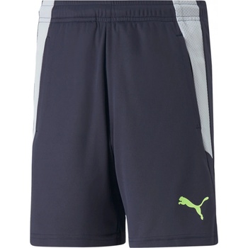 Puma teamLIGA Training shorts 2 jr 65766844