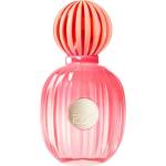 Antonio Banderas The Icon Splendid EDP 100 ml за мъже Парфюми