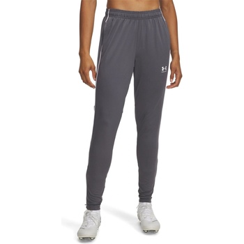Under Armour Анцуг Under Armour Women's Performance Tracksuit Bottom - Castlerock