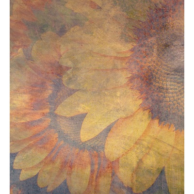 DIMEX MS-3-0383 vliesová fototapeta rozměry 225 x 250 cm
