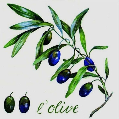 Atelier Servítky Olive 33x33cm 20ks
