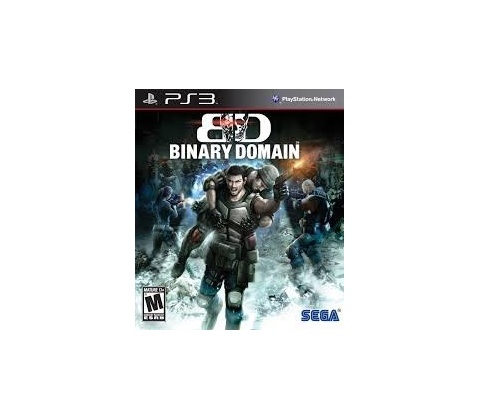Binary Domain
