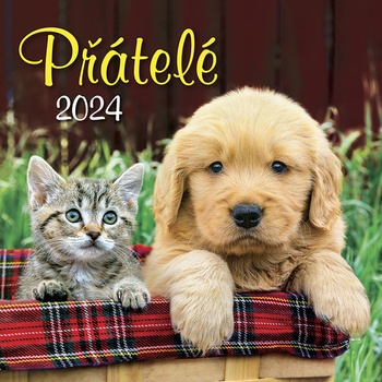 Přátelé Nástěnný 2024