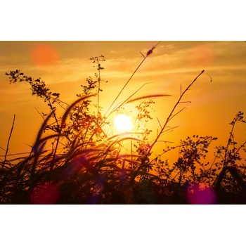 DIMEX ART s. r. o Флизелинов фототапет зора 375 x 250 см