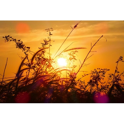 DIMEX ART Флизелинов фототапет зора 375 x 250 см