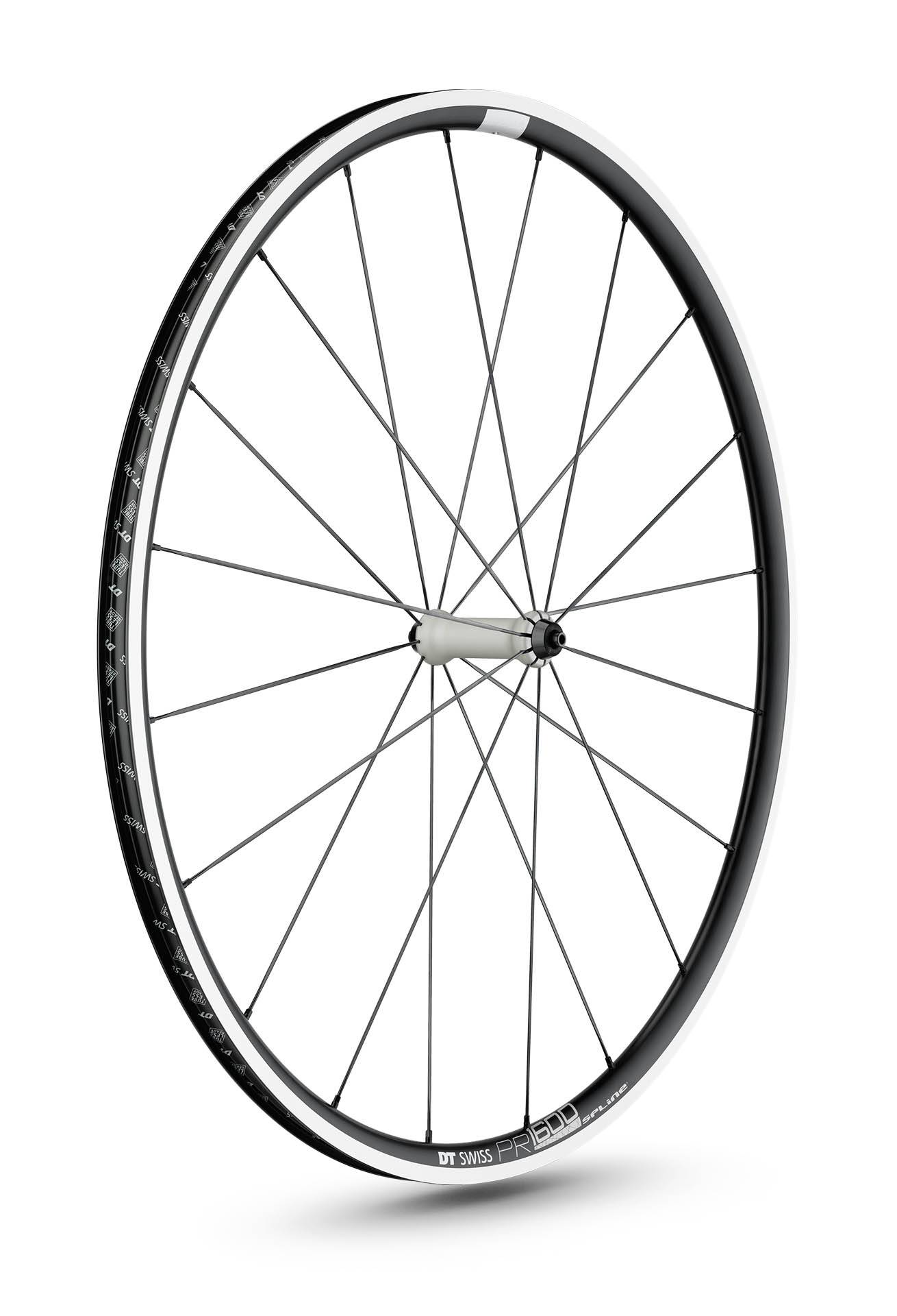 fcr 105組 dtswiss pr1600 PR 1600 SPLINE db 32 12/100 mm | DT Swiss
