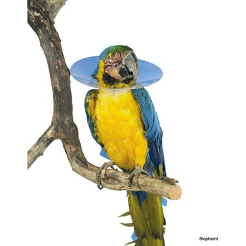 Bird Collar Límec ochranný plastový pro ptáky 8cm