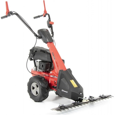 Faworyt TK87-196T