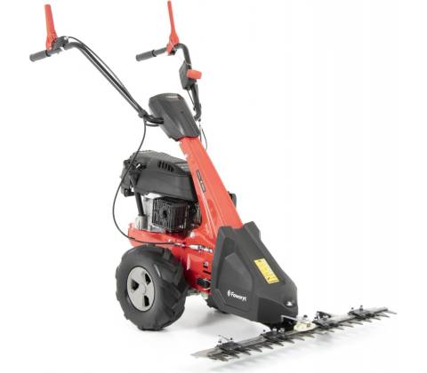 Faworyt TK87-196T