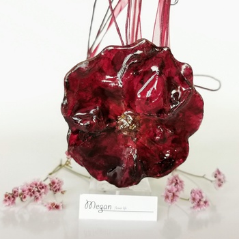 Meganflo Тъмно червена роза