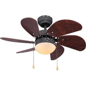 GLOBO 03800 (GL5117)