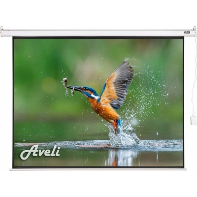 AVELI 99" 4:3 XRT-00172