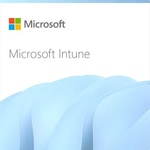 Microsoft Intune Remote Help (CFQ7TTC0Q17R-0001_P1YP1Y)