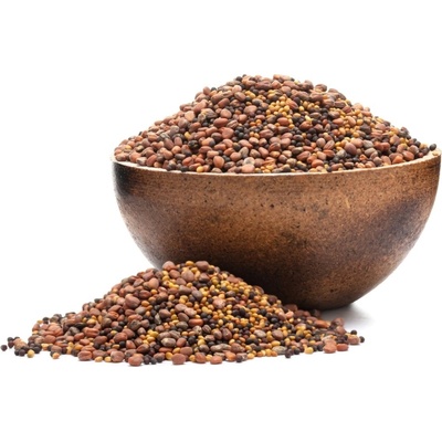 Grizly Brokolica reďkev ďatelina BIO mix semienok na klíčenie 250 g