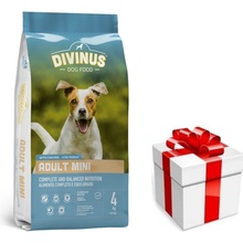 Divinus Adult mini pre malé plemená 10 kg