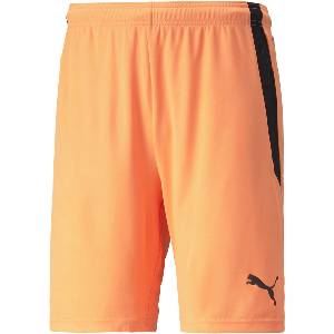 PUMA Team liga shorts s - sportisimo - 46,92 лв