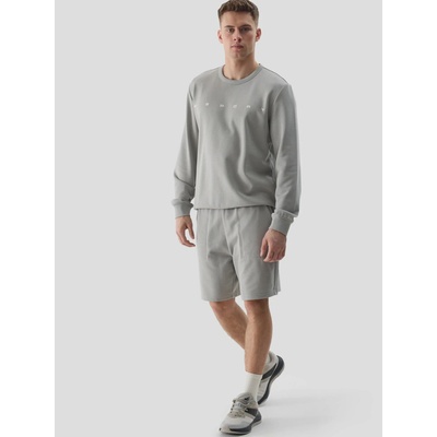 4F Мъжки спортен къс панталон 4F 4F | Siv | МЪЖЕ | XXL