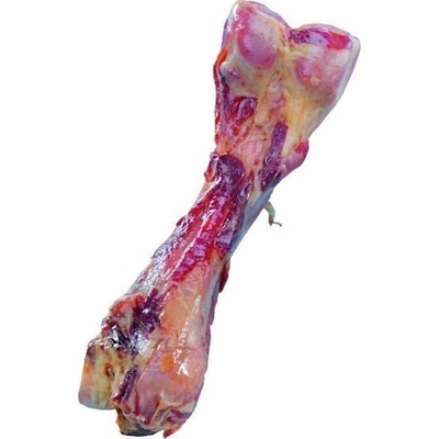 NOBBY Talianska kosť XL 24 cm