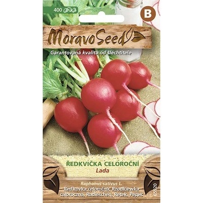 Reďkovka celoročná LADA červená MoravoSeed