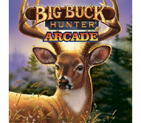 Big Buck Hunter Arcade