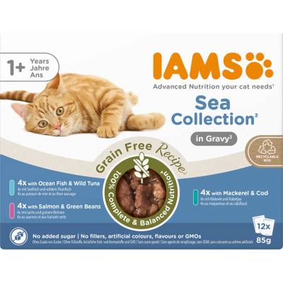 IAMS Advanced Nutrition Grain Free Sea Collection in Sauce 12 × 85 g