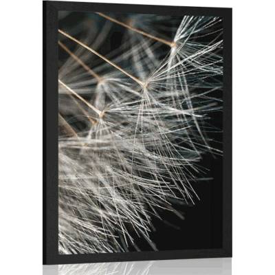 Plakát krása pampelišky - 30x45 white
