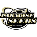Paradise Seeds AUTO Wappa semena neobsahují THC 10 ks