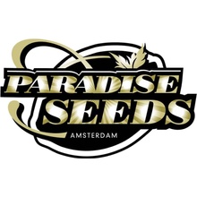 Paradise Seeds Konopné semená Chocolate Wafflez Balenie: 5 ks 0% THC