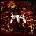 AVARICE - AVARICE LTD. LP