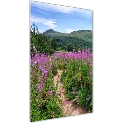 Vertikálny fotoobraz na skle Bieszczady 50x100 cm
