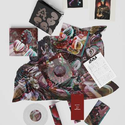 Björk - Fossoræ (Box Set) (Crystal Clear Coloured) (2 x 10") (5016958103057)