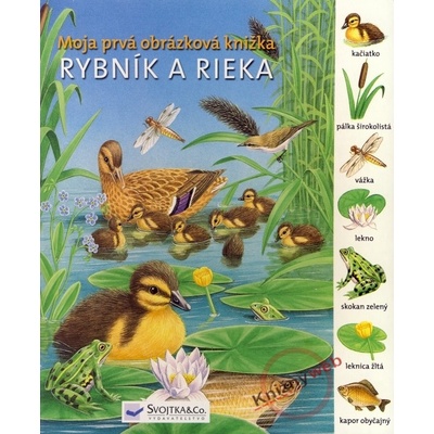 Rybník a rieka - Moja prvá obrázková knižka
