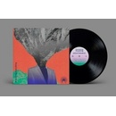 Everything Everything - Mountainhead (180 g) LP