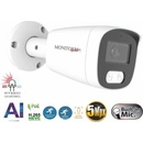Monitorrs Security 6143