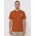 Kavu Range cedar rust