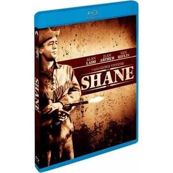 Shane BD