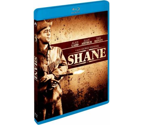 Shane BD