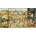 Educa - Puzzle Bosch: The Garden of Earthly Delicias - 9 000 piese