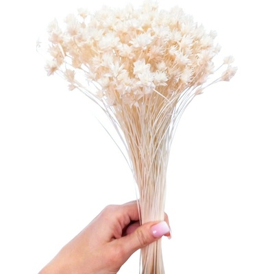 Sušená květina Hill Flower bělená svazek 100g