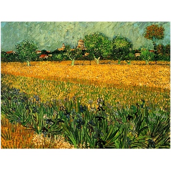 Fedkolor Репродукция на Винсент ван Гог - , 40 x 30 cm View of arles with irises in the foreground - Fedkolor (Vincent van Gogh_116 40x30)