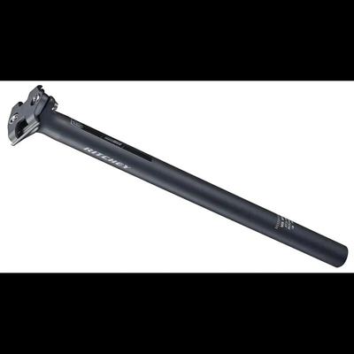 Ritchey WCS ZERO Blatte