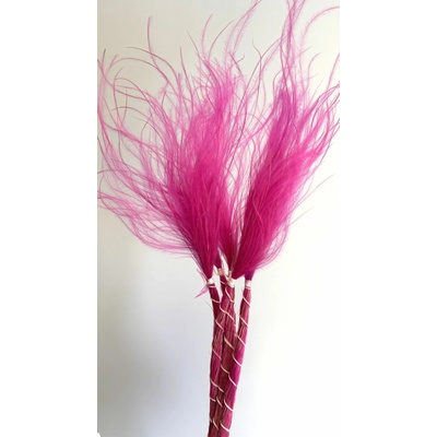 Stipa růžová
