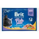 Kapsičky pre mačky Brit Premium Cat Delicate Fillets in Gravy Cod fish, Salmon and Trout 4 x 100 g