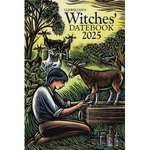 CAL 25 LLEWELLYNS WITCHES DATEBK | ENGMT (2024)
