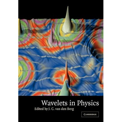 Wavelets in Physics